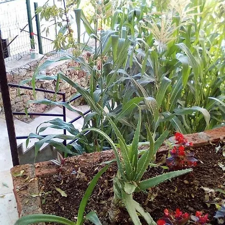 Ferienhaus Duru Selimiye Evleri *