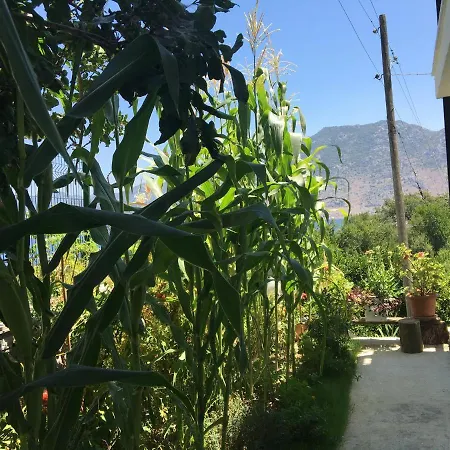Ferienhaus Duru Selimiye Evleri *